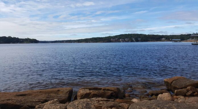 Scopri il lago più profondo dell'Alabama
