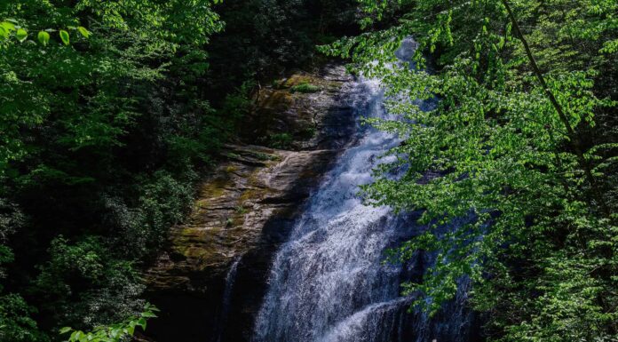 Le migliori buche per nuotare in Georgia
