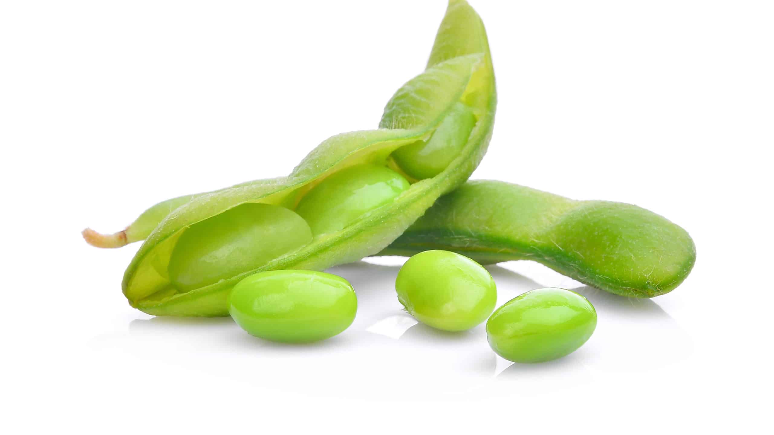 Edamame contro fagioli di Lima: qual è la differenza?