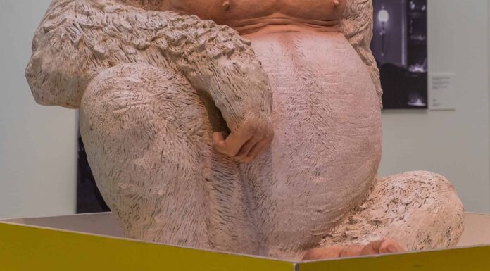 Incontra Snowflake, l'unico gorilla albino sulla Terra
