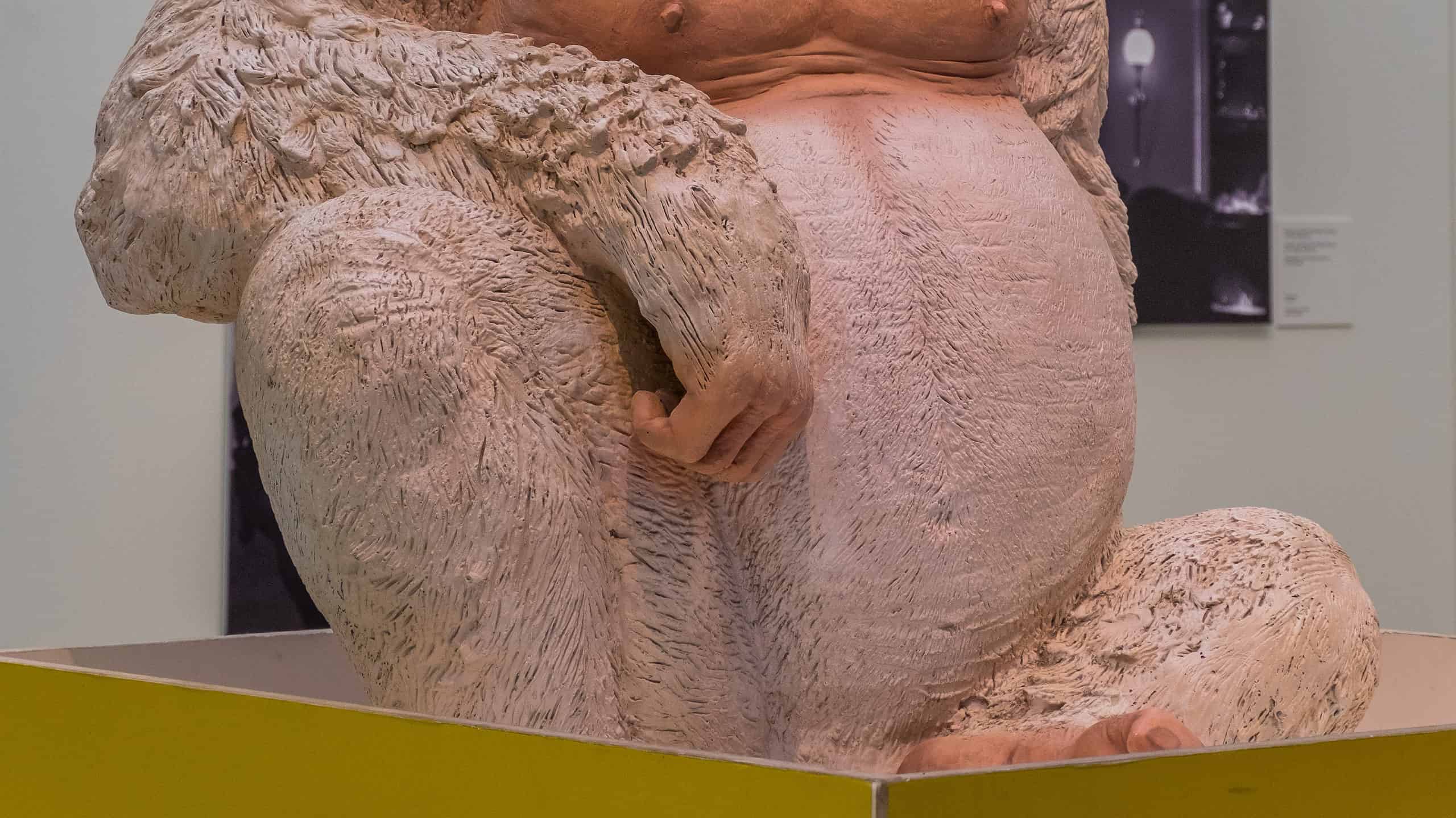 Incontra Snowflake, l'unico gorilla albino sulla Terra