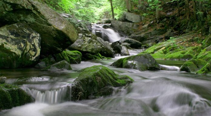 Le migliori buche per nuotare nel Maine
