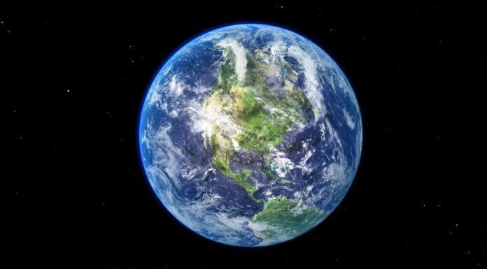 5 fatti sulle forme di vita più antiche sulla Terra
