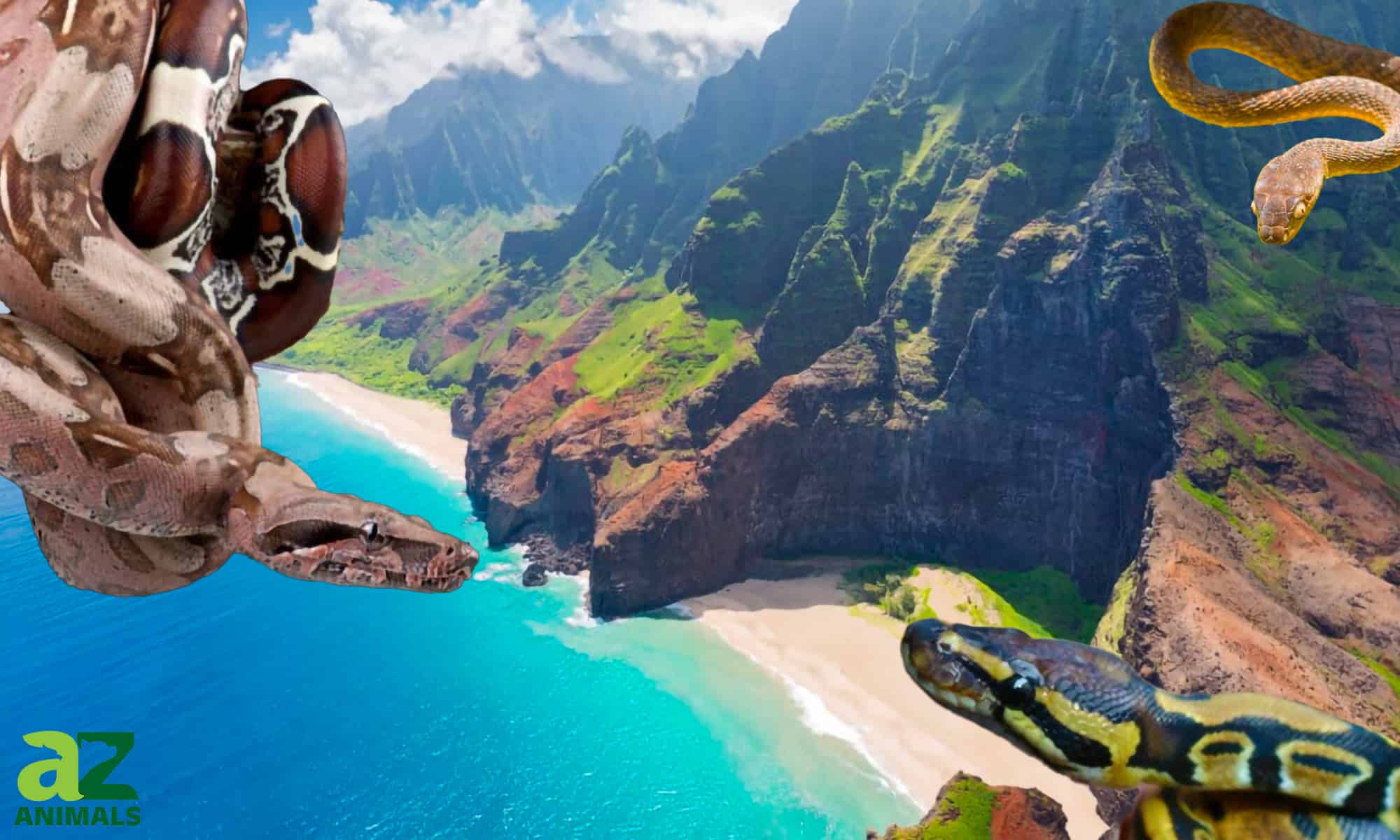 7 serpenti alle Hawaii (tutti sono invasivi!)