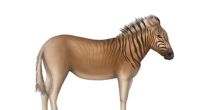 7 simpatici animali estinti che sono andati per sempre
