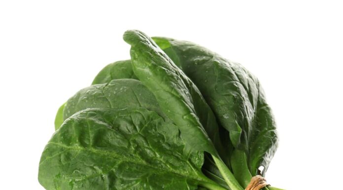 Cavolo verde contro spinaci
