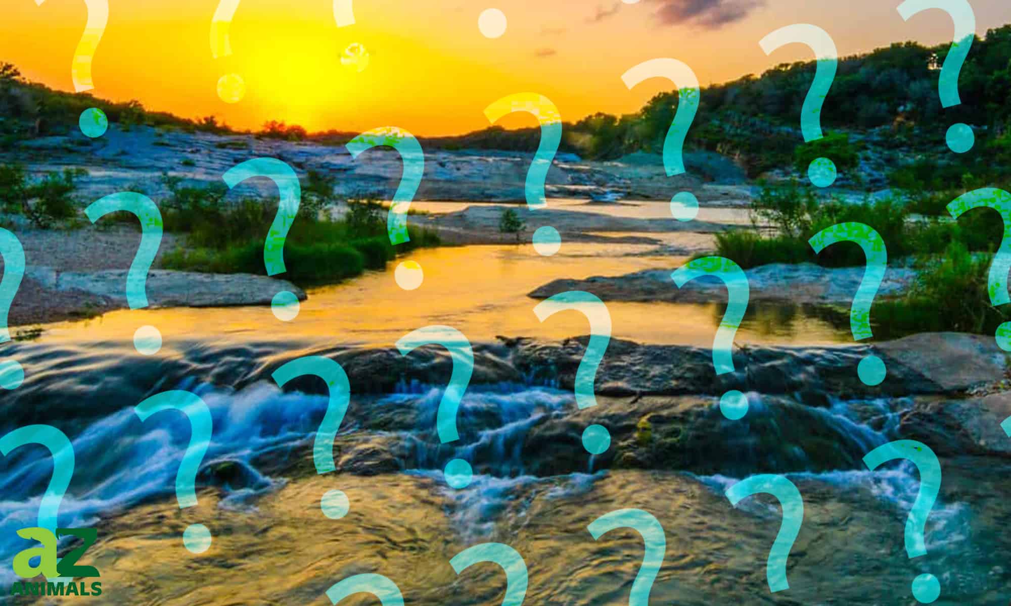 Dove inizia il fiume Mississippi?  Scopri l'origine del fiume!