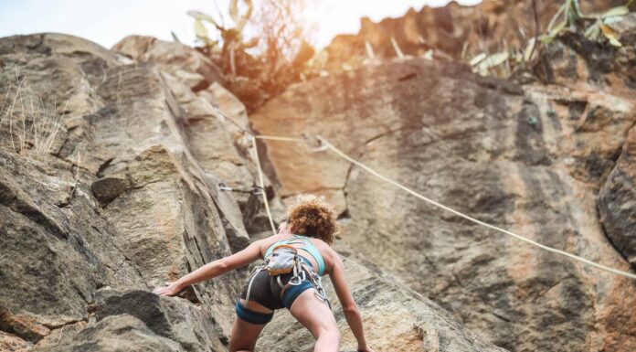 Guarda il video sugli animali più spaventoso di quest'anno mentre uno scalatore combatte contro un orso
