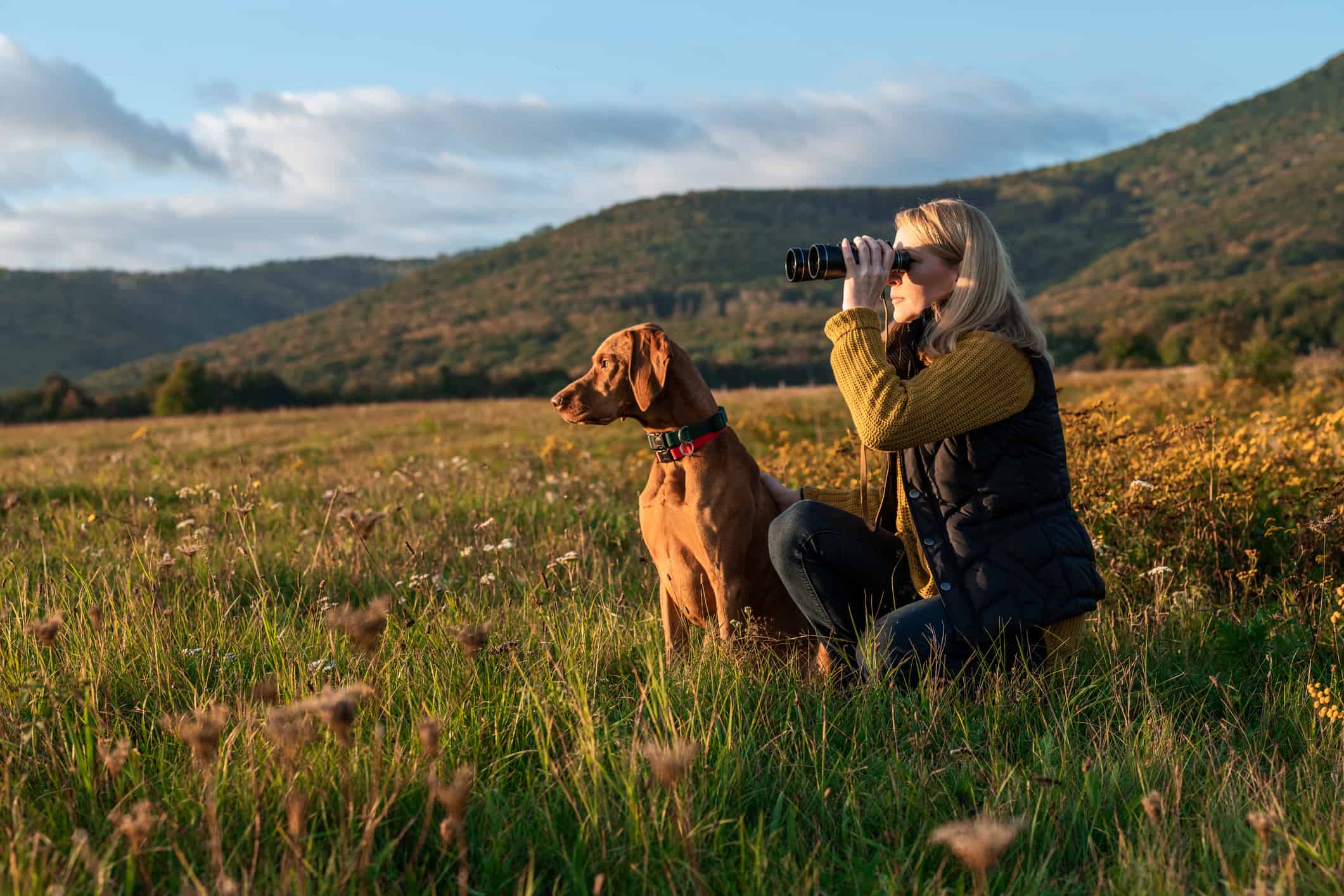 I 5 migliori spot per il birdwatching del New Hampshire quest'estate
