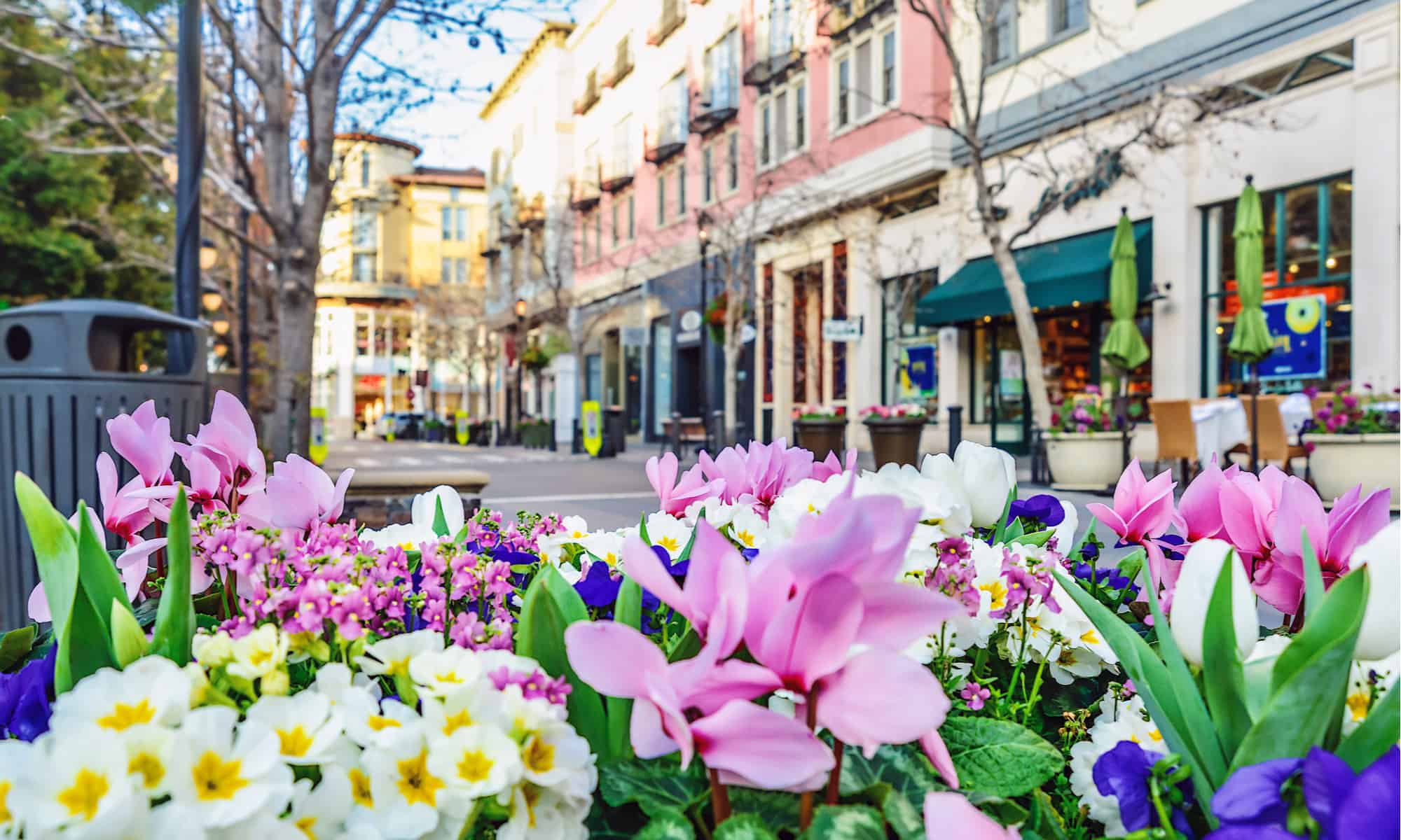 I 7 migliori parchi per cani a San Jose