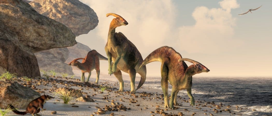 I dinosauri sono rettili?