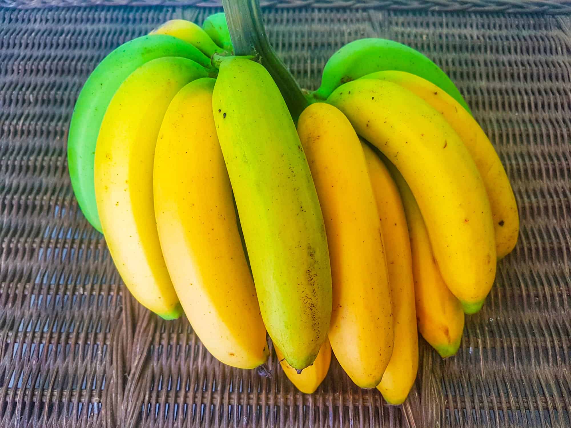 La banana è un frutto o una verdura?  Ecco perché