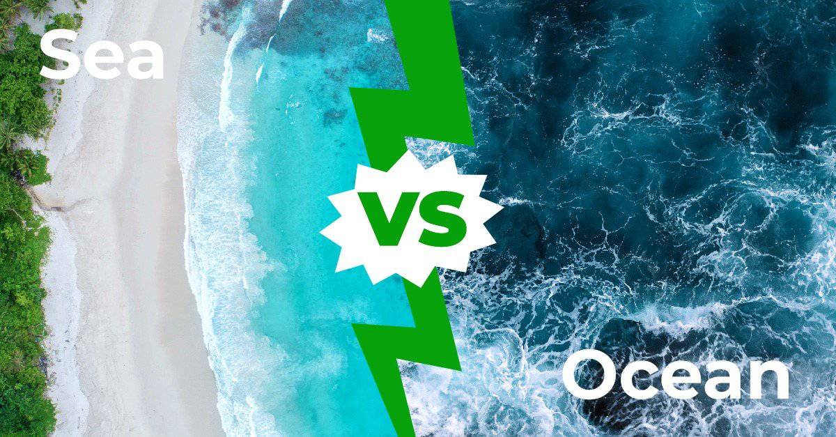 Mare vs Oceano: le principali differenze