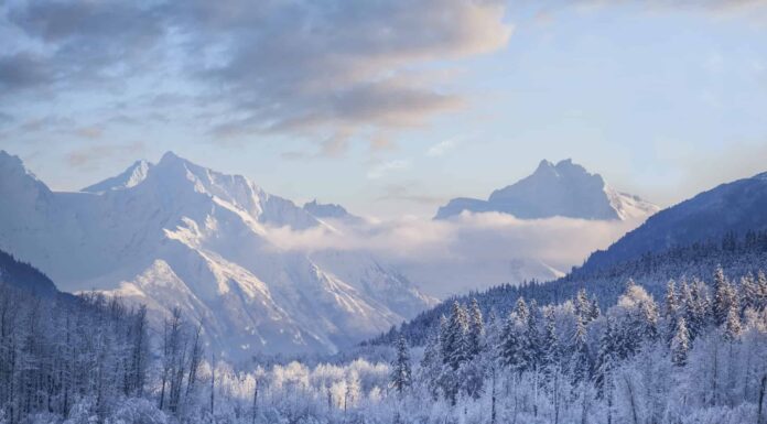 Prima neve in Massachusetts: la prima e l'ultima prima neve mai registrata
