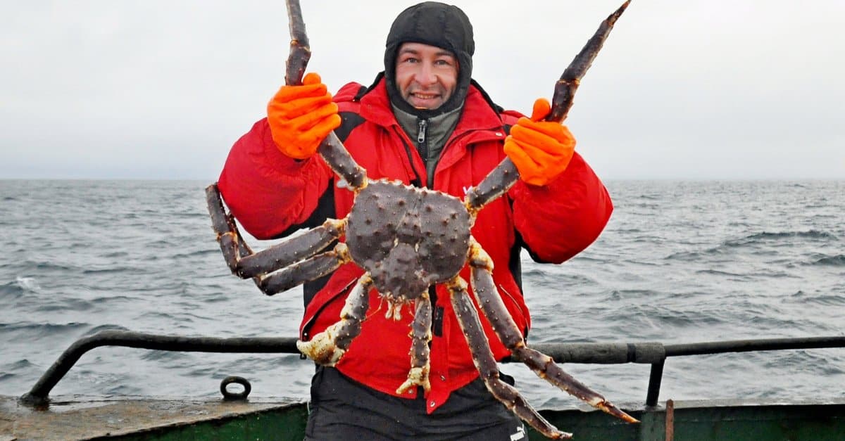 Top 10 Animals That Have Shells - king crab