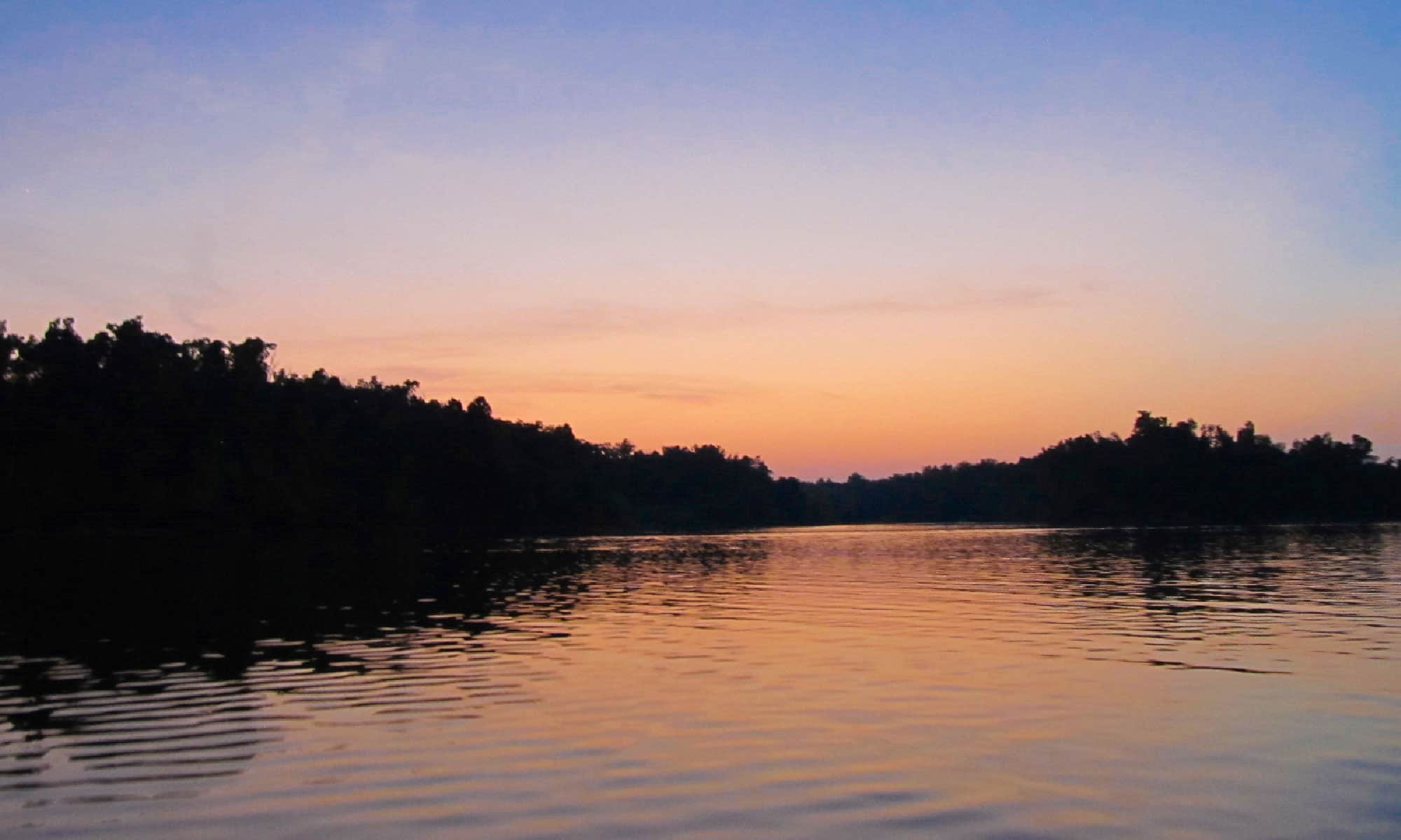 10 animali che vivono nei laghi