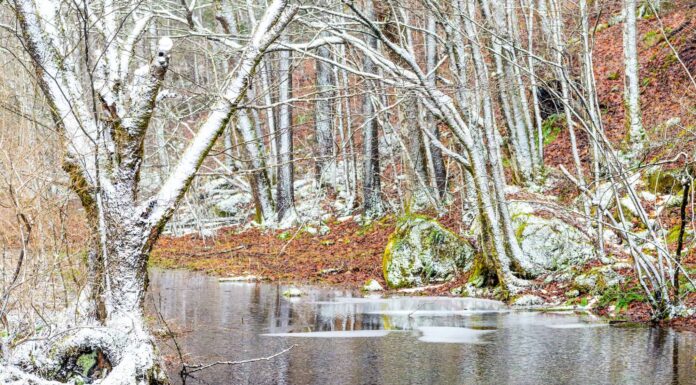 Atmospheric Mood, Autumn, Cold Temperature, Color Image, Country Road