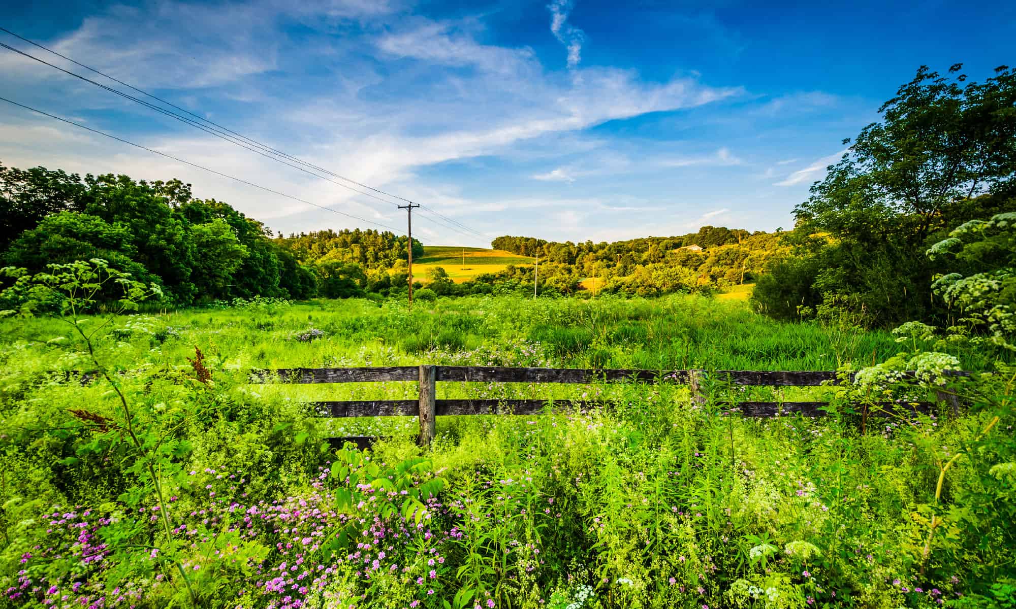 Incontra i più grandi proprietari terrieri della Pennsylvania