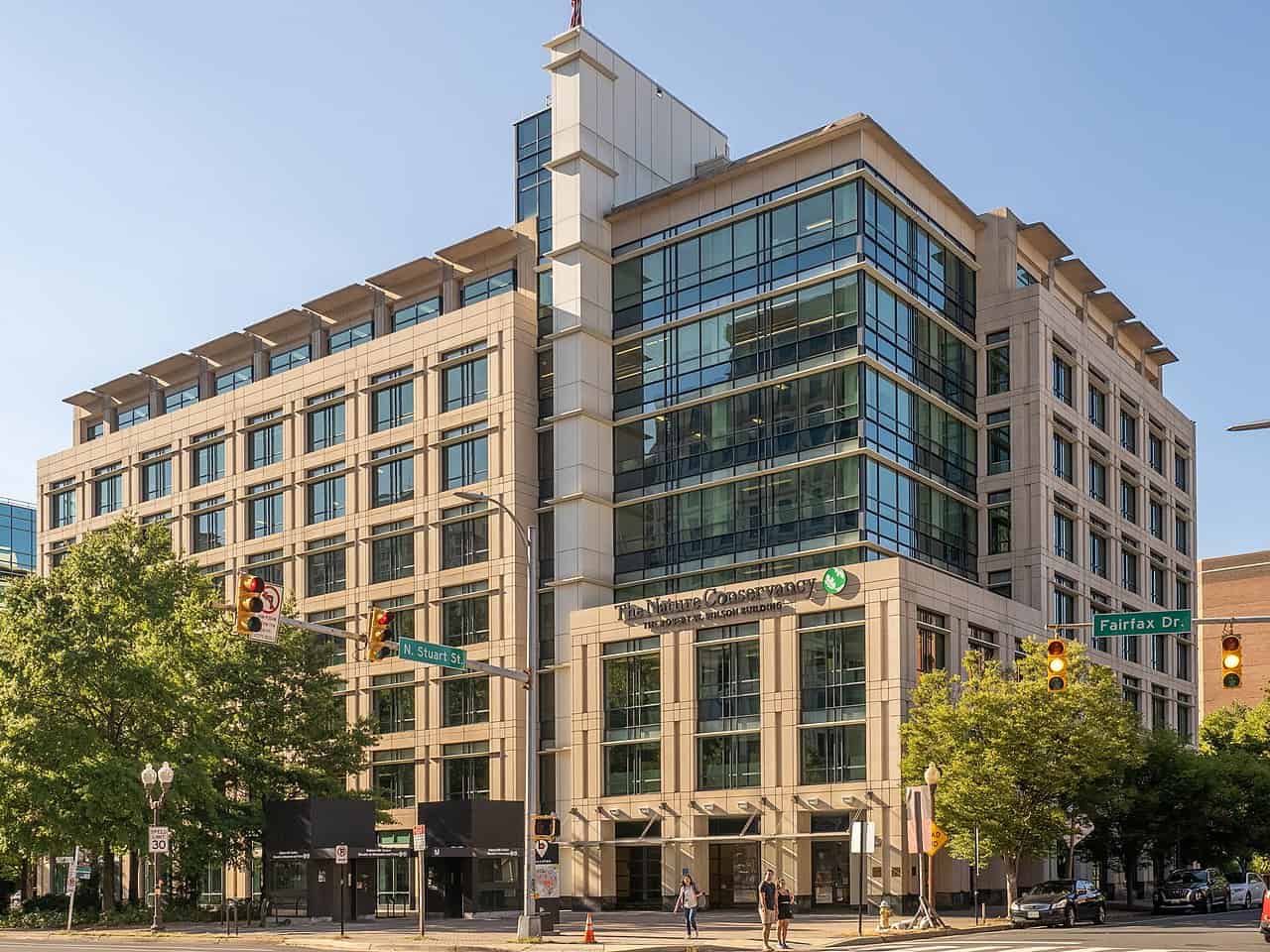 Wood Used for Furniture