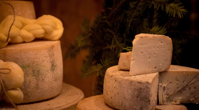 I formaggi più antichi della terra
