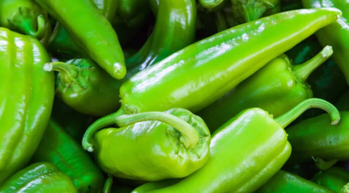  Anaheim Pepe vs.  Jalapeno
