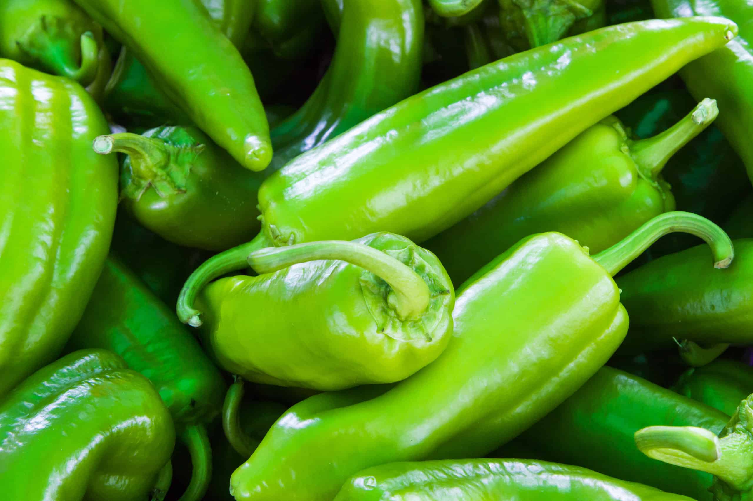 Anaheim Pepe vs.  Jalapeno