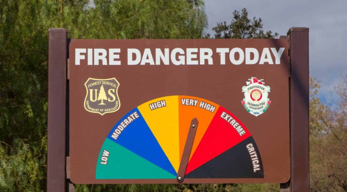 Gli Stati con i peggiori incendi e perché
