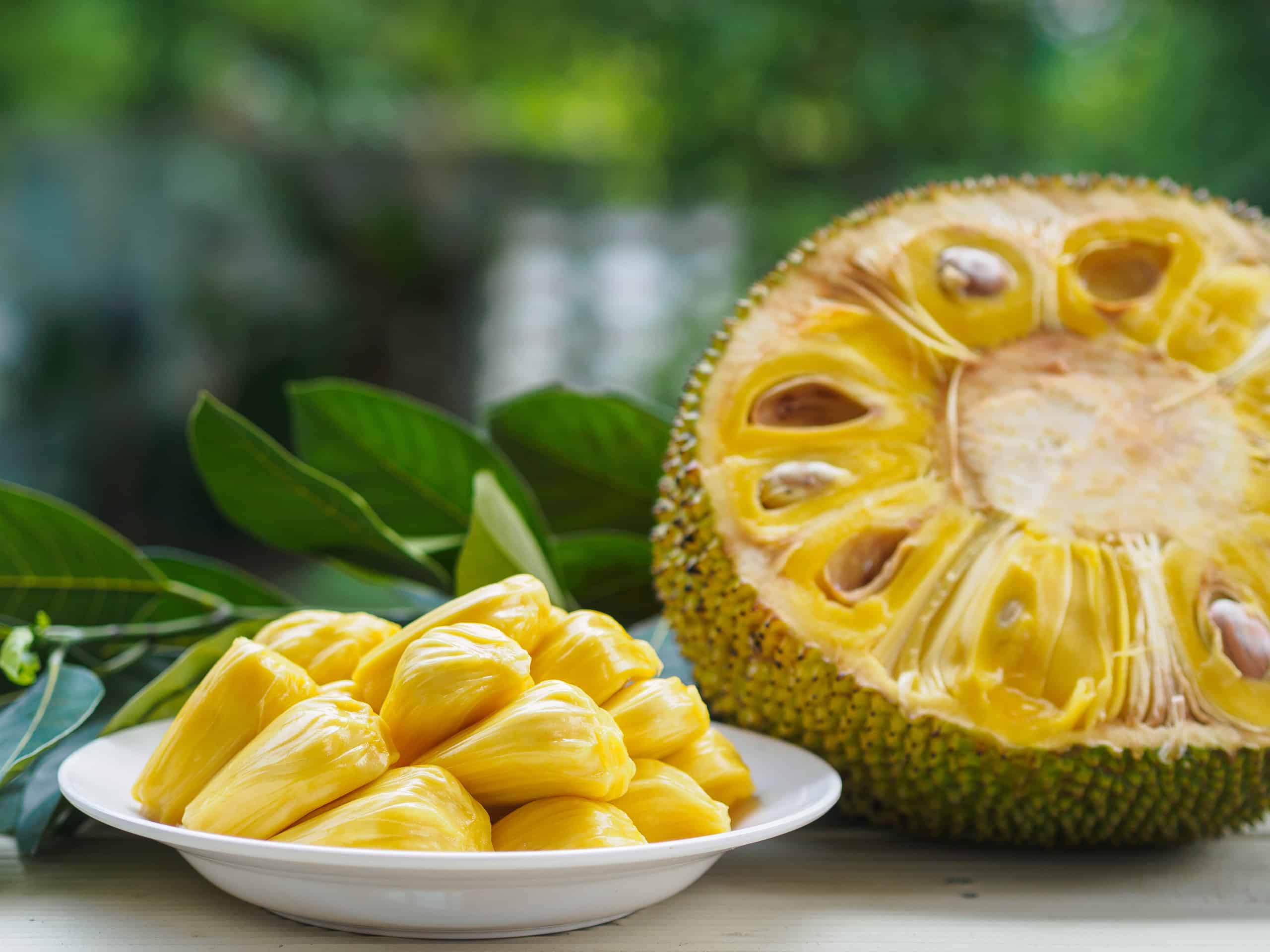 L'albero del pane contro il jackfruit
