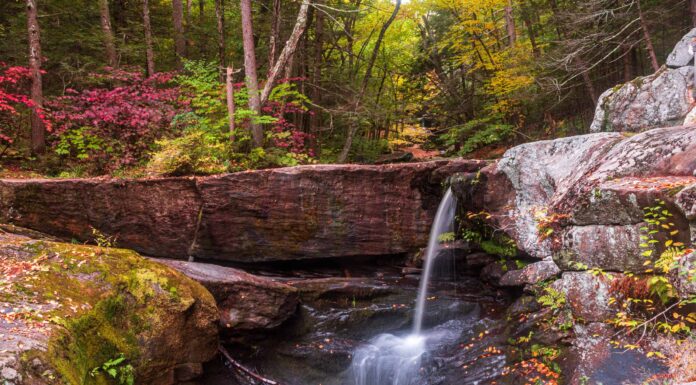 Le migliori buche per nuotare nel Connecticut
