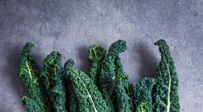 Rucola vs cavolo: 5 differenze per queste due verdure a foglia verde
