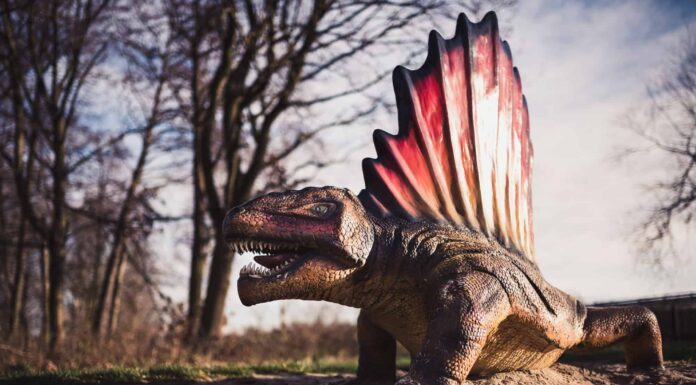 Scopri 5 incredibili animali del periodo Permiano: fatti, informazioni e cronologia
