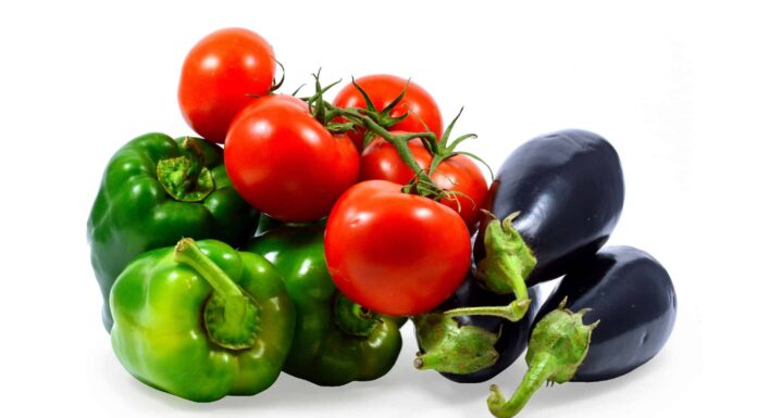 Can Dogs Eat Eggplants Safely? What Science Says