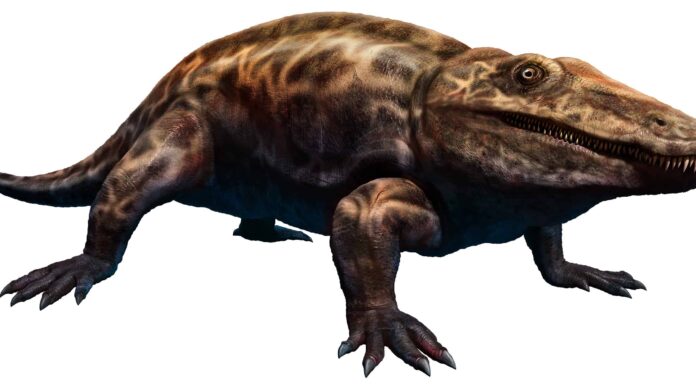 Incontra l'antico predatore che depone le uova e sembra un alligatore
