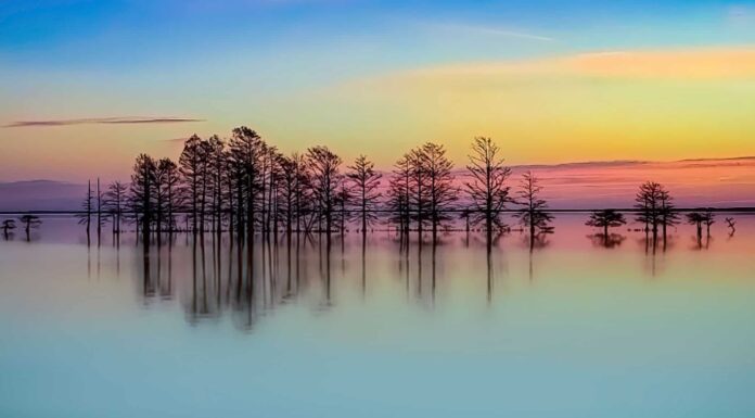 Lake Chaubunagungamaug