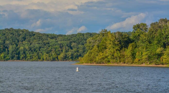Qual è il più grande lago artificiale del Tennessee
