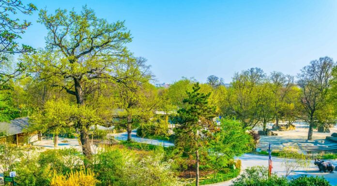 I 4 zoo più antichi del mondo (quali animali rari ospitano?)
