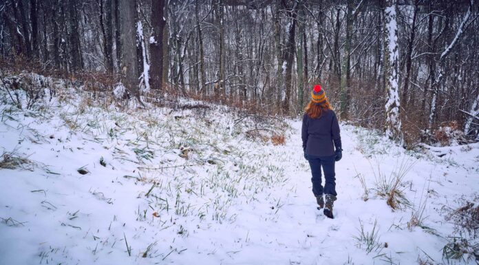Scopri il luogo più freddo del Kentucky
