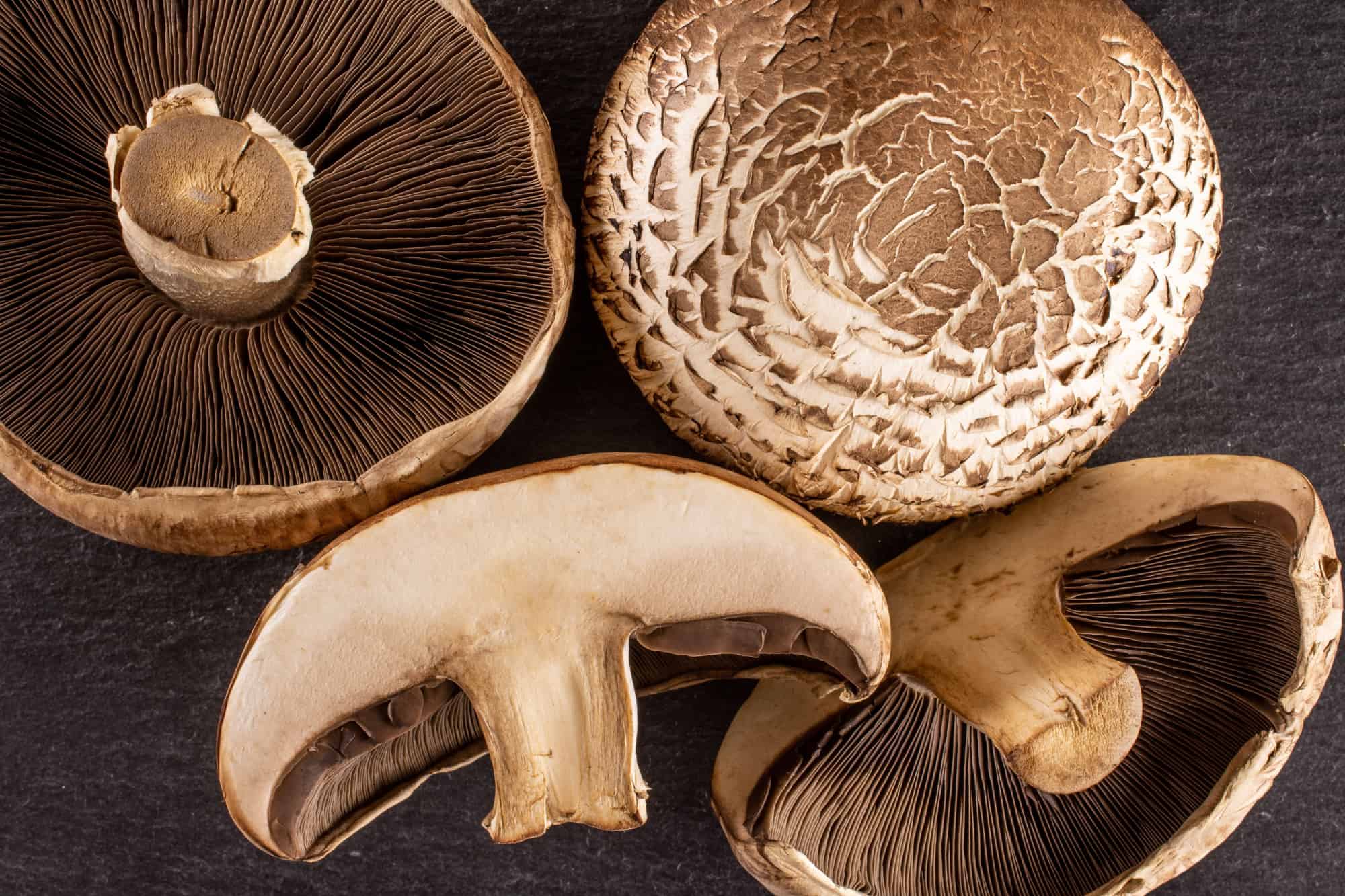 Button Mushrooms vs Portobello Mushrooms