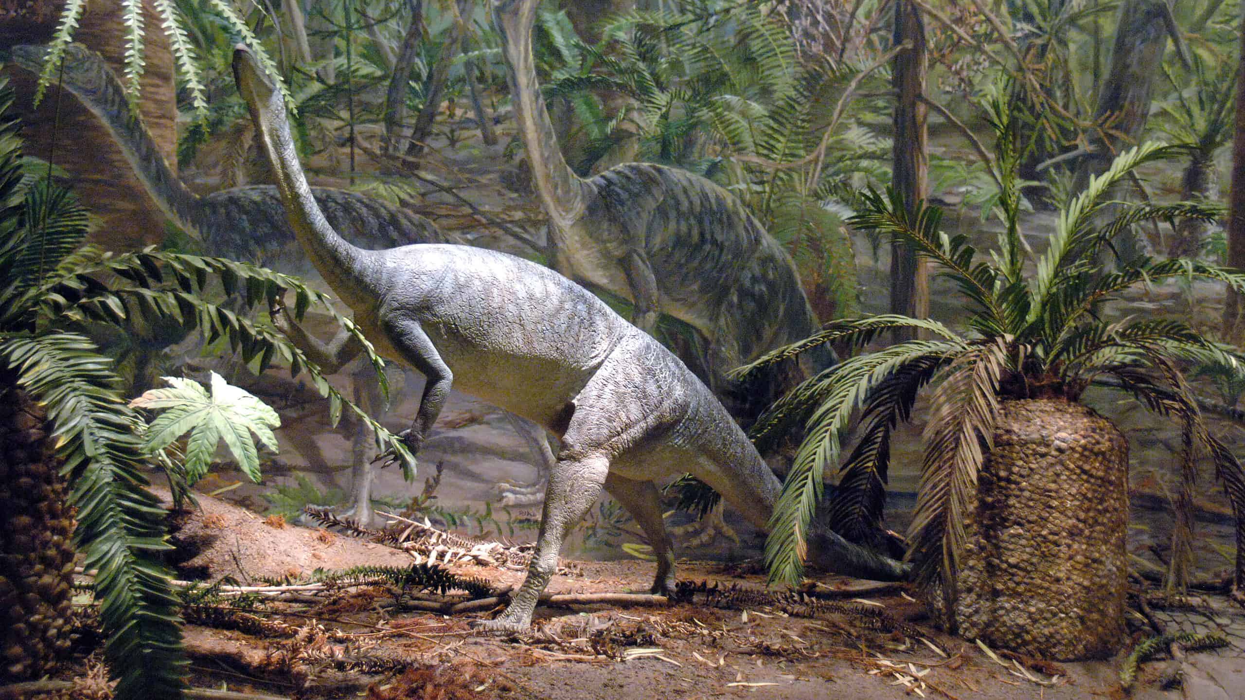 4 dinosauri che vivevano in Massachusetts (e dove vedere i fossili oggi)