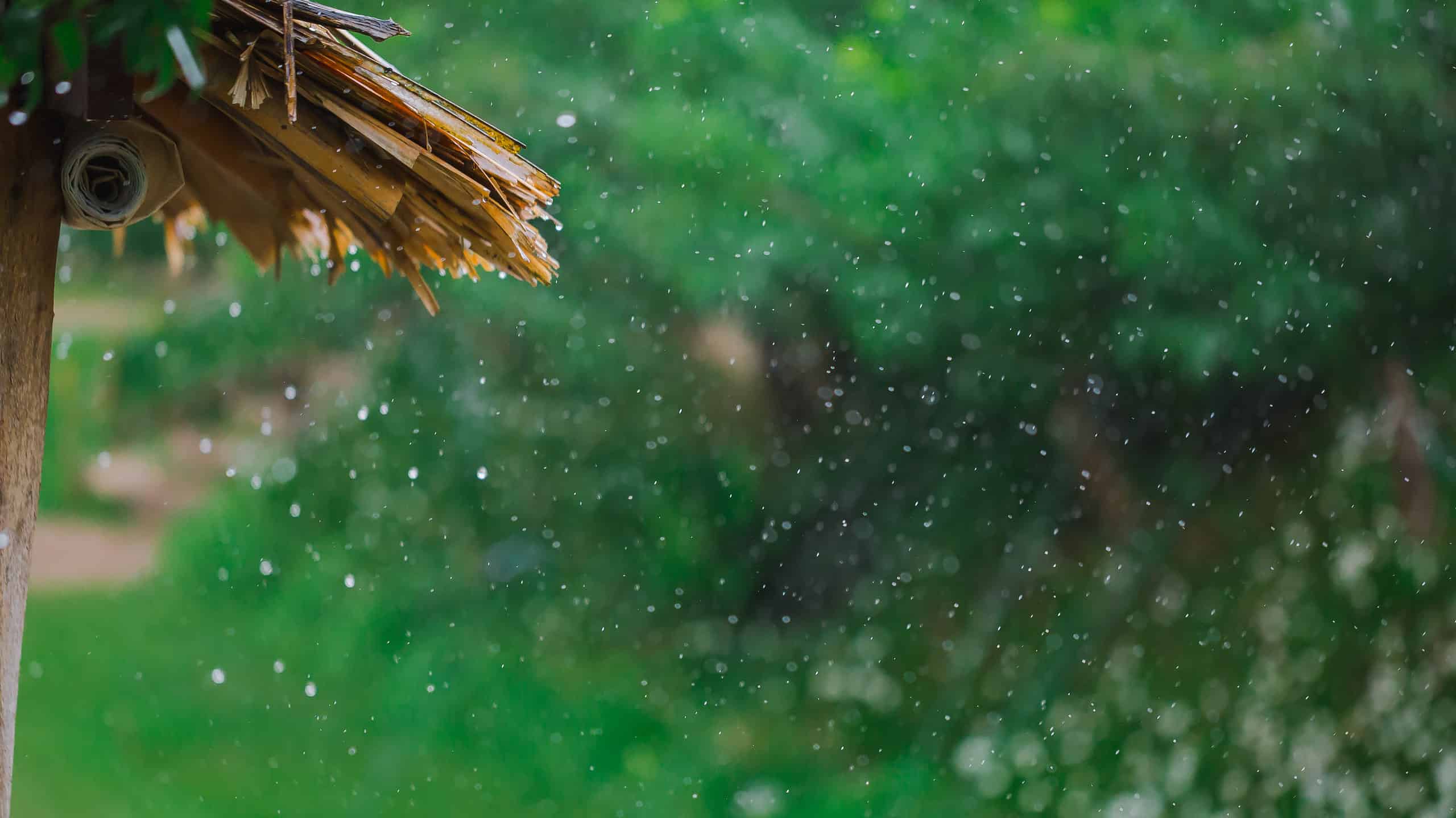 8 tipi di precipitazioni