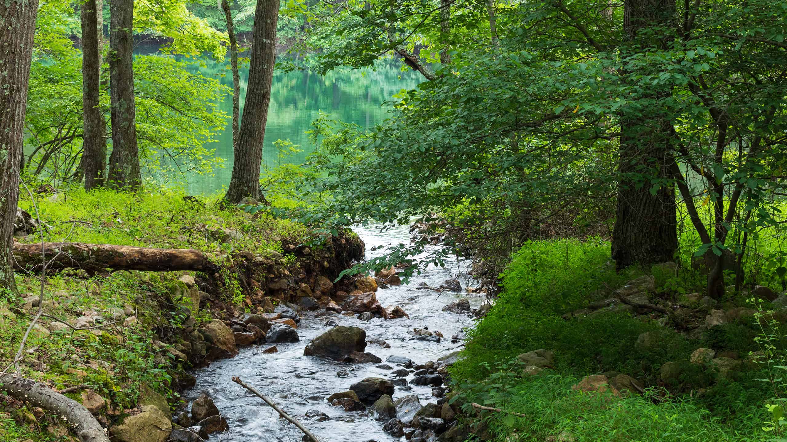 Le migliori piscine vicino a Washington