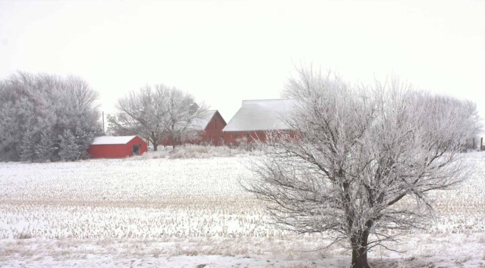 Scopri il luogo più freddo dell'Iowa
