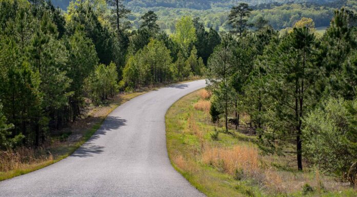 Scopri il posto più freddo dell'Arkansas
