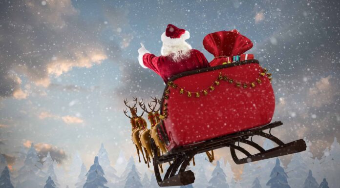  Quali sono gli animali di Babbo Natale?  Dalle renne alle capre
