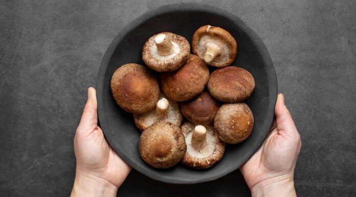 I 10 migliori funghi culinari
