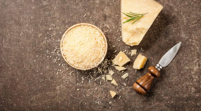 I cani possono mangiare il parmigiano?
