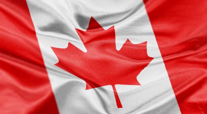 Diverse bandiere che caratterizzano le piante
