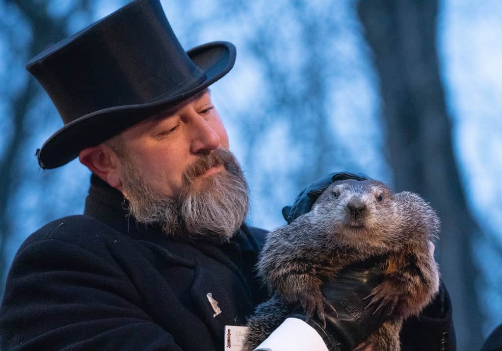 Punxsutawney Phil