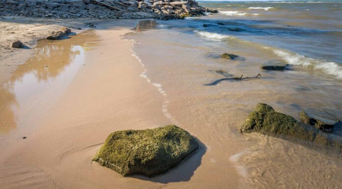 Qual è il più grande lago artificiale dell'Oklahoma 
