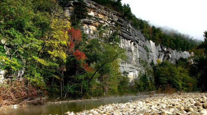 Incontra i 4 più grandi proprietari terrieri dell'Arkansas
